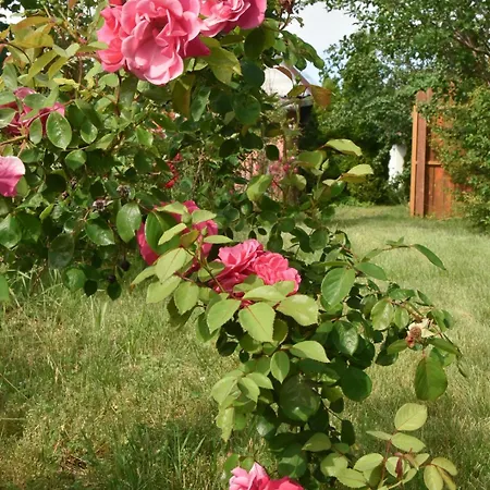 Matilda Country house Pribylina